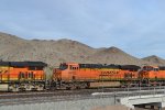 BNSF 6600